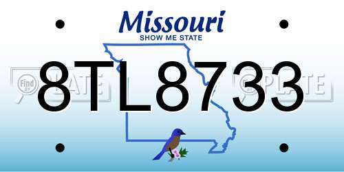 8TL8733 Missouri License Plate