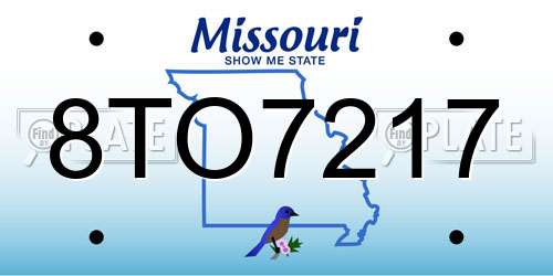 8TO7217 Missouri License Plate