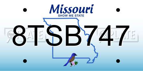 8TSB747 Missouri License Plate