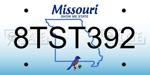 8TST392 Missouri License Plate