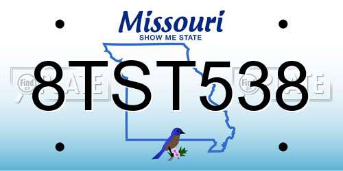 8TST538 Missouri License Plate