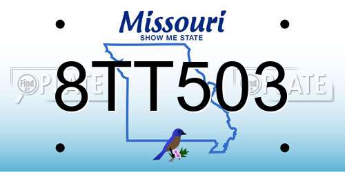 8TT503 Missouri License Plate