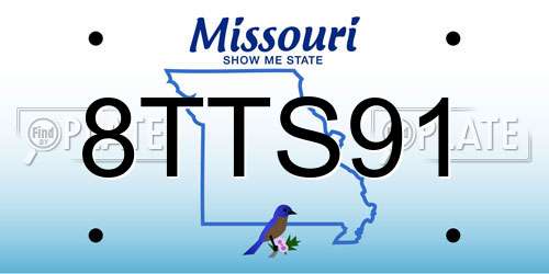 8TTS91 Missouri License Plate