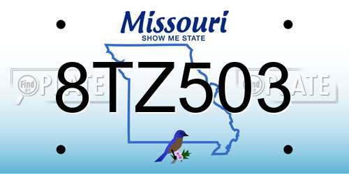 8TZ503 Missouri License Plate