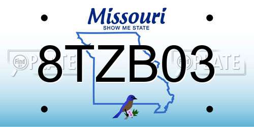 8TZB03 Missouri License Plate
