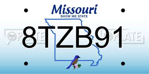 8TZB91 Missouri License Plate