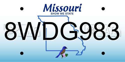 8WDG983 Missouri License Plate