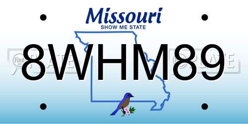 8WHM89 Missouri License Plate