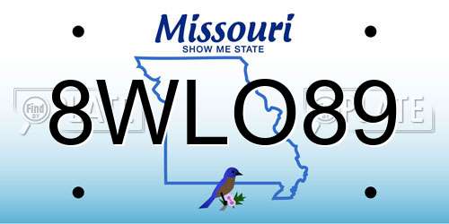 8WLO89 Missouri License Plate