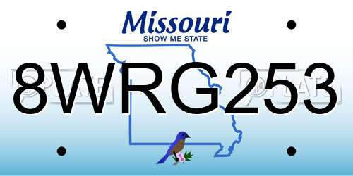 8WRG253 Missouri License Plate