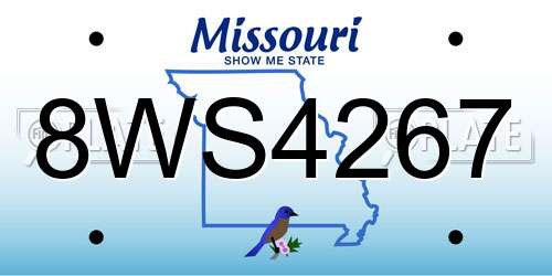 8WS4267 Missouri License Plate