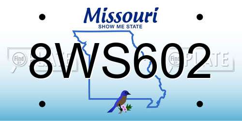 8WS602 Missouri License Plate