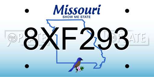 8XF293 Missouri License Plate