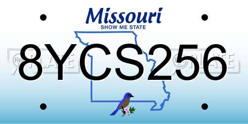 8YCS256 Missouri License Plate