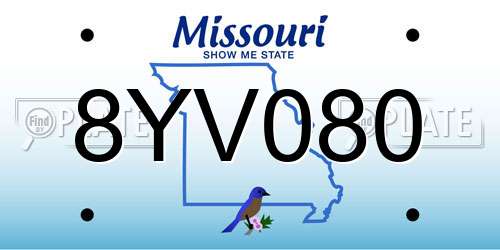 8YV080 Missouri License Plate
