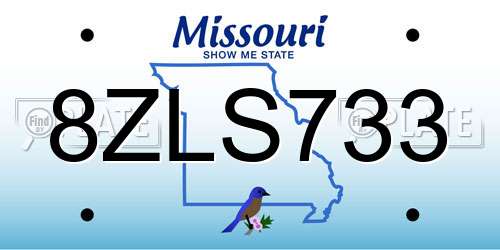 8ZLS733 Missouri License Plate