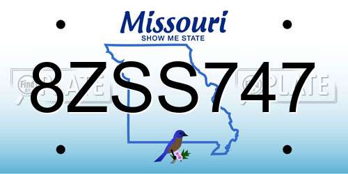 8ZSS747 Missouri License Plate