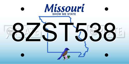 8ZST538 Missouri License Plate