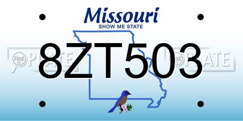 8ZT503 Missouri License Plate