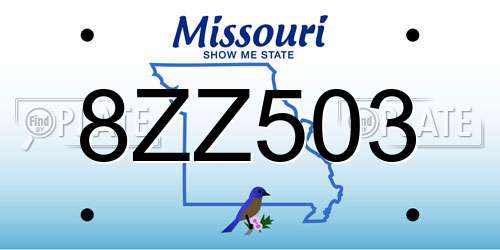 8ZZ503 Missouri License Plate