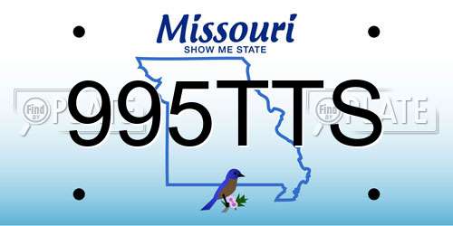 995TTS Missouri License Plate