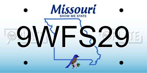 9WFS29 Missouri License Plate