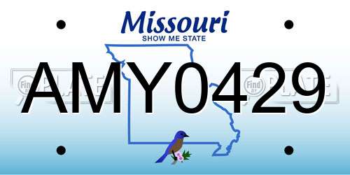 AMY0429 Missouri License Plate