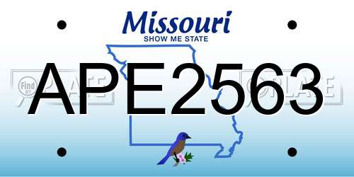 APE2563 Missouri License Plate