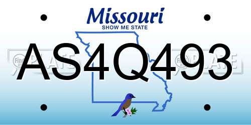 AS4Q493 Missouri License Plate