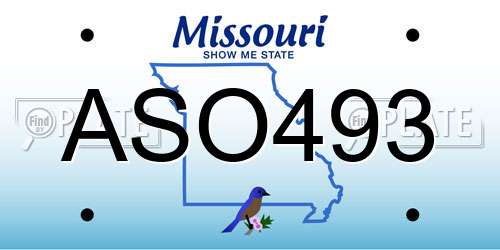 ASO493 Missouri License Plate