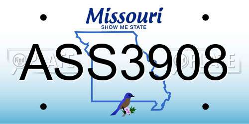 ASS3908 Missouri License Plate