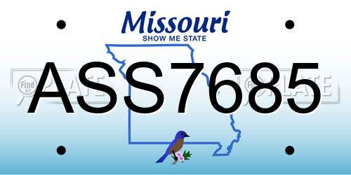ASS7685 Missouri License Plate