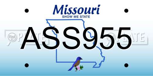 ASS955 Missouri License Plate