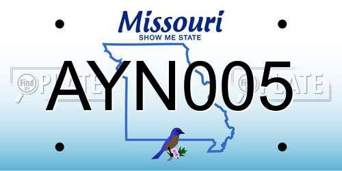 AYN005 Missouri License Plate