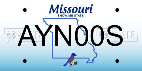AYN00S Missouri License Plate