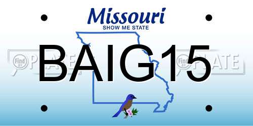 BAIG15 Missouri License Plate