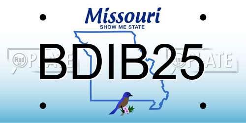 BDIB25 Missouri License Plate