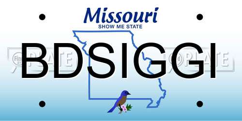 BDSIGGI Missouri License Plate