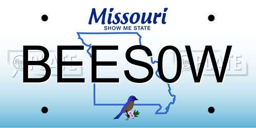 BEES0W Missouri License Plate