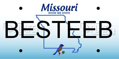 BESTEEB Missouri License Plate