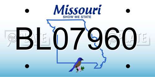 BL07960 Missouri License Plate