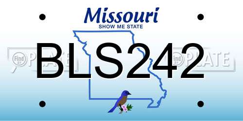 BLS242 Missouri License Plate