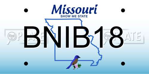 BNIB18 Missouri License Plate