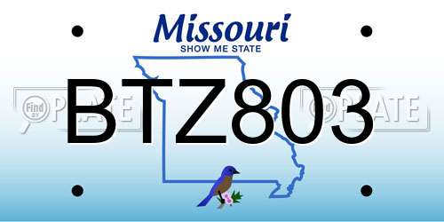 BTZ803 Missouri License Plate
