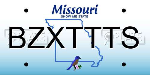 BZXTTTS Missouri License Plate