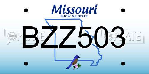 BZZ503 Missouri License Plate