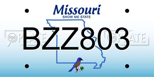 BZZ803 Missouri License Plate