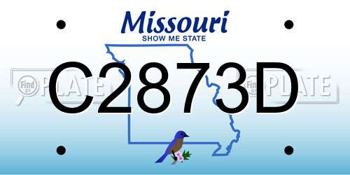 C2873D Missouri License Plate