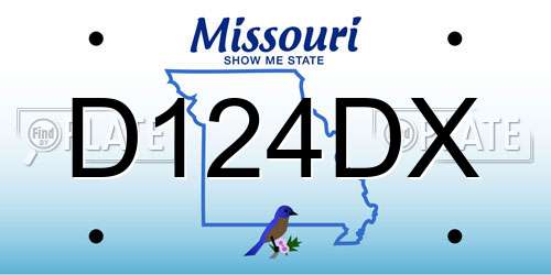 D124DX Missouri License Plate