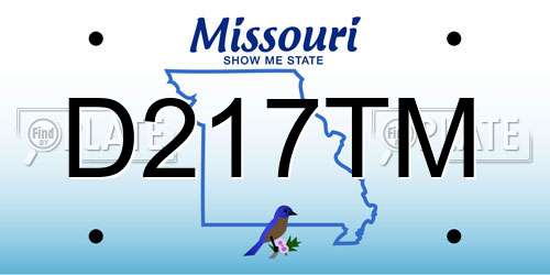 D217TM Missouri License Plate